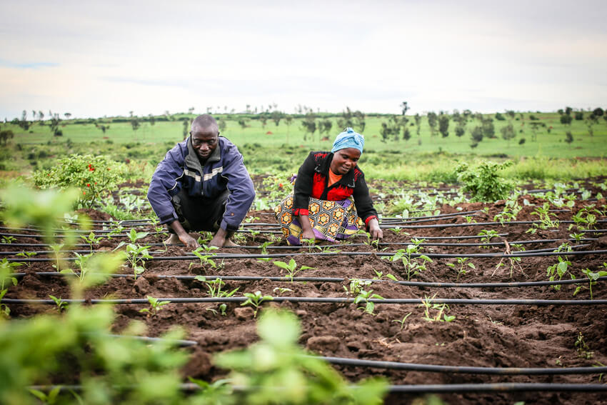 opportunity-international-agriculture-training-for-farmers-2